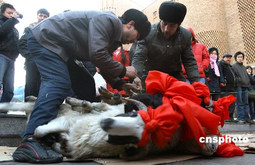 图新疆千万穆斯林民众欢度古尔邦节