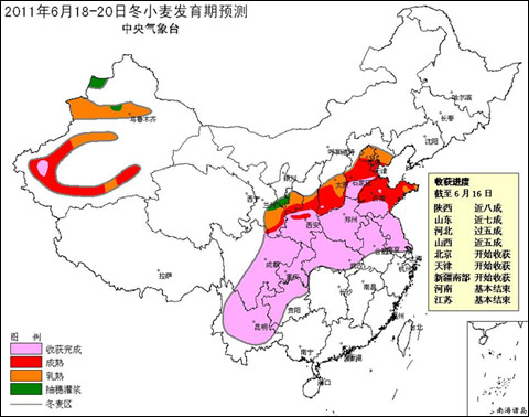 未来三天麦收区大部以晴为主利于小麦收晒