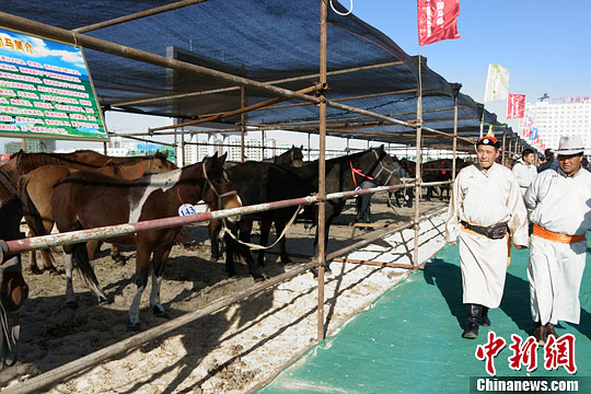 内蒙古锡林浩特举办首届马匹交易会