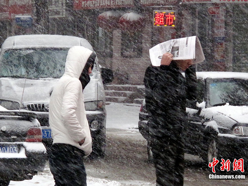 寒潮侵袭中国北方 辽宁等地迎来强降雪-中新网