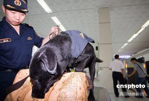 图海关缉毒犬旅检现场上岗2