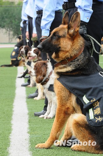 图警犬助阵国庆60周年安保4