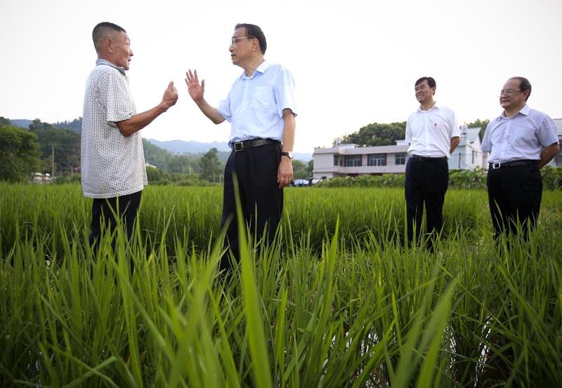 而在这片瑞金老区村间的田头,李克强总理细心察看粮食长势,农田小水利