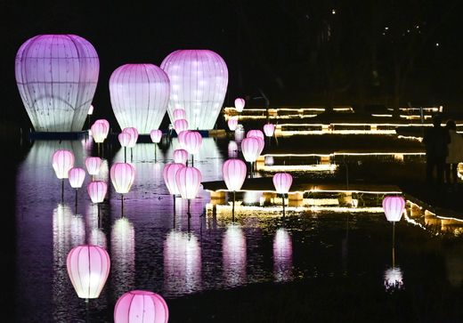 浙江杭州西溪千盏花灯迎新年