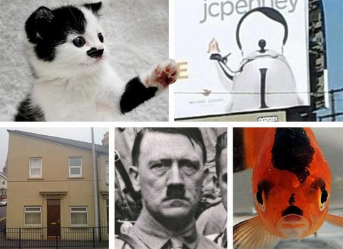 希特勒熊猫表情包图片