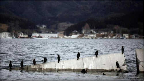 日本东北近海发生6 9级地震已发布海啸警报 图