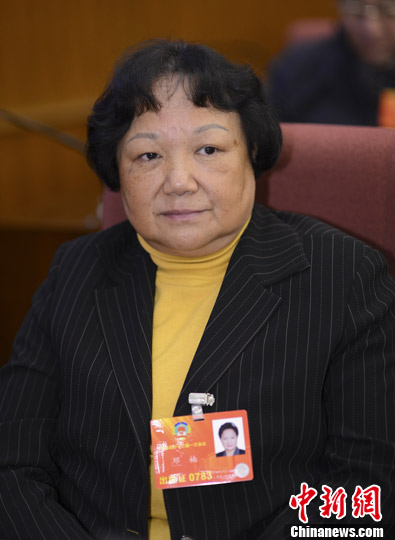 邓楠出席全国政协主席团会议