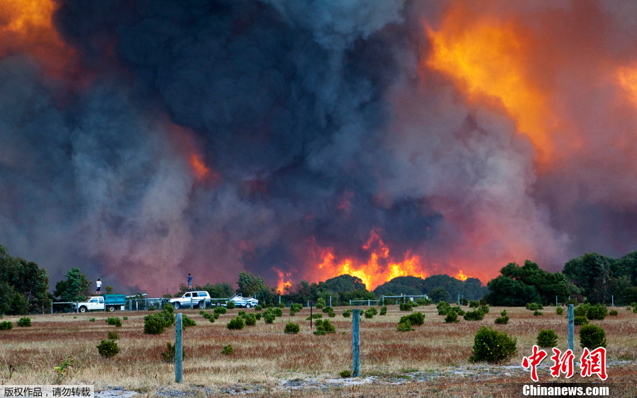 澳大利亚西部发生山火数十栋房屋被烧毁