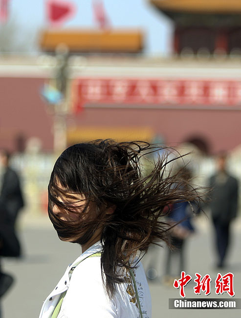 北京大风吓哭图片