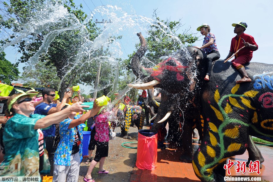 泰国泼水节庆新年 大象成水枪