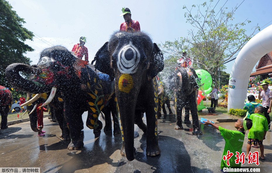 泰国泼水节庆新年大象成水枪