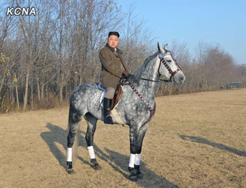 金正恩视察骑马连训练场策马扬鞭显豪气