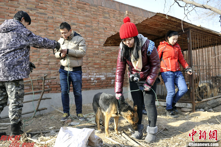 近日,一段该非法屠宰场杀狗的视频在互联网上热转,引起民众愤慨