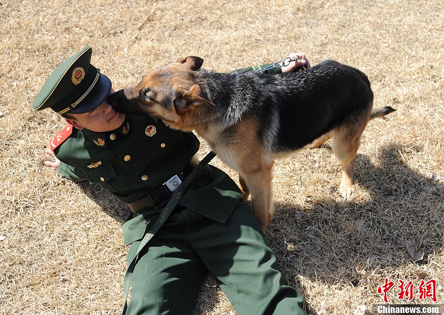 武警訓犬員閆金彪和戰友黑虎