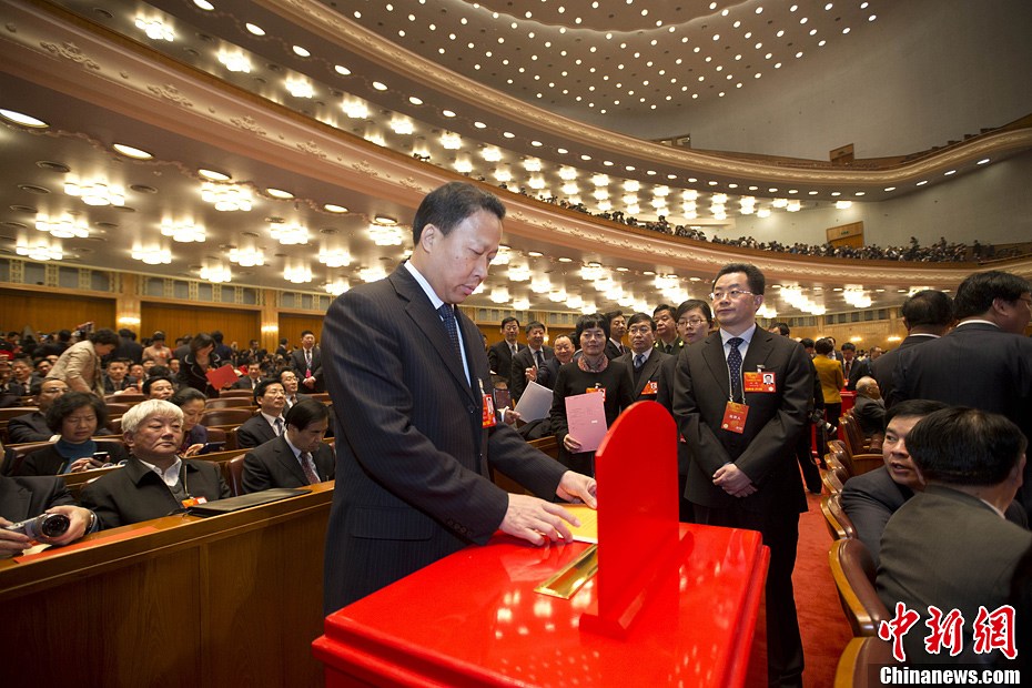 全国人大代表投票