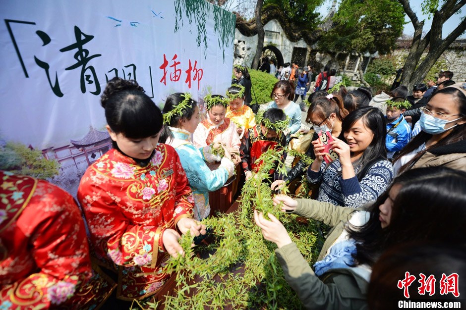 清明编柳帽戴柳镯追思先辈感受民族文化