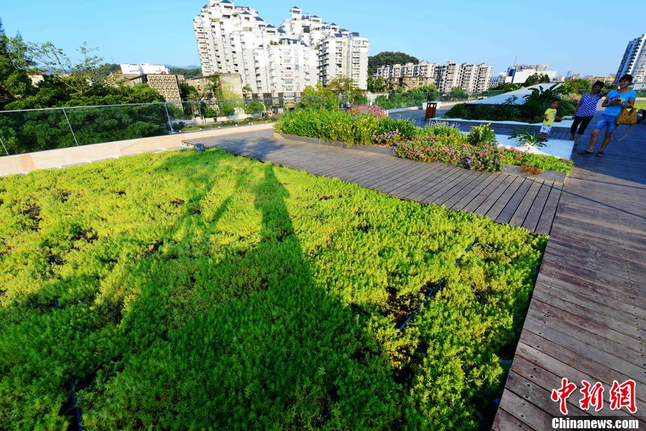 福州北江滨空中花园图片