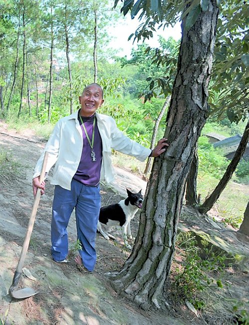 一把锄头一条狗孤寡老人30年跪着种下上万棵树