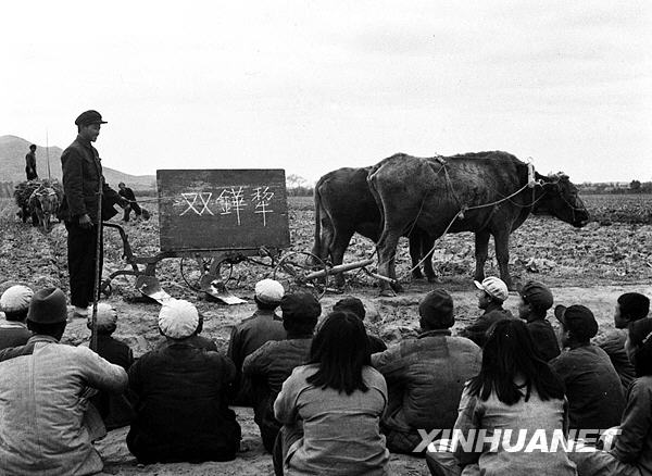 让更多的人识字建国初期扫盲纪实